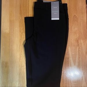 NWT Maurice’s Dress Pants